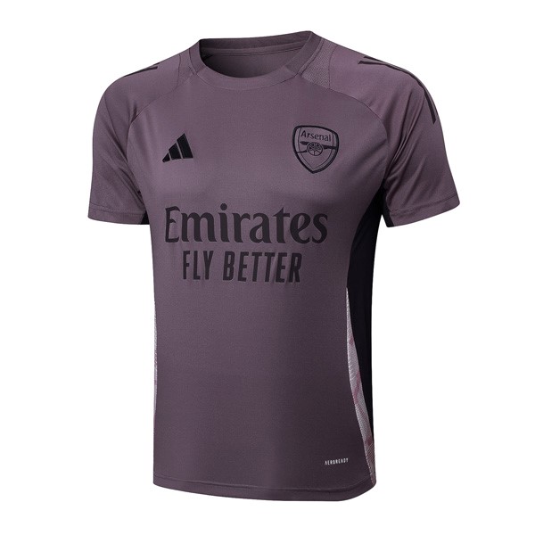 Camiseta Entrenamiento Arsenal 2025/26 Purpura Gris
